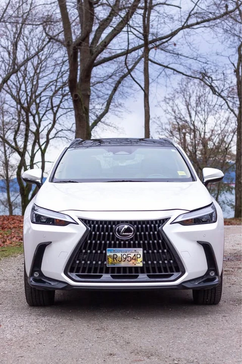 2023 Lexus NX 2nd Gen - Image 15 of 19