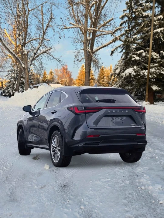 2023 Lexus NX 2nd Gen - Image 4 of 14