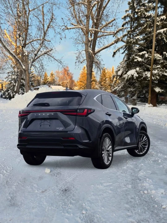 2023 Lexus NX 2nd Gen - Image 3 of 14