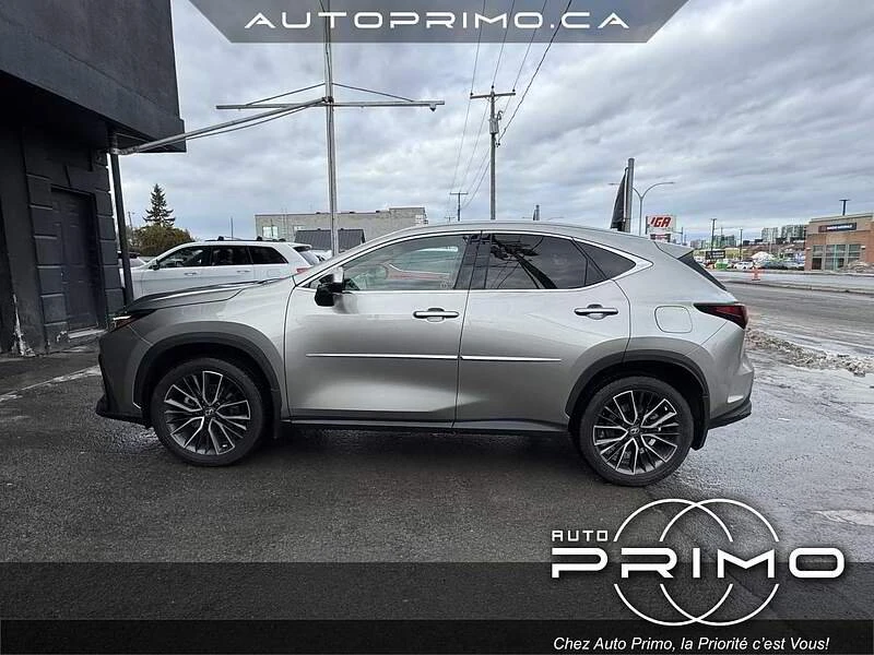 2023 Lexus NX 2nd Gen - Image 8 of 11