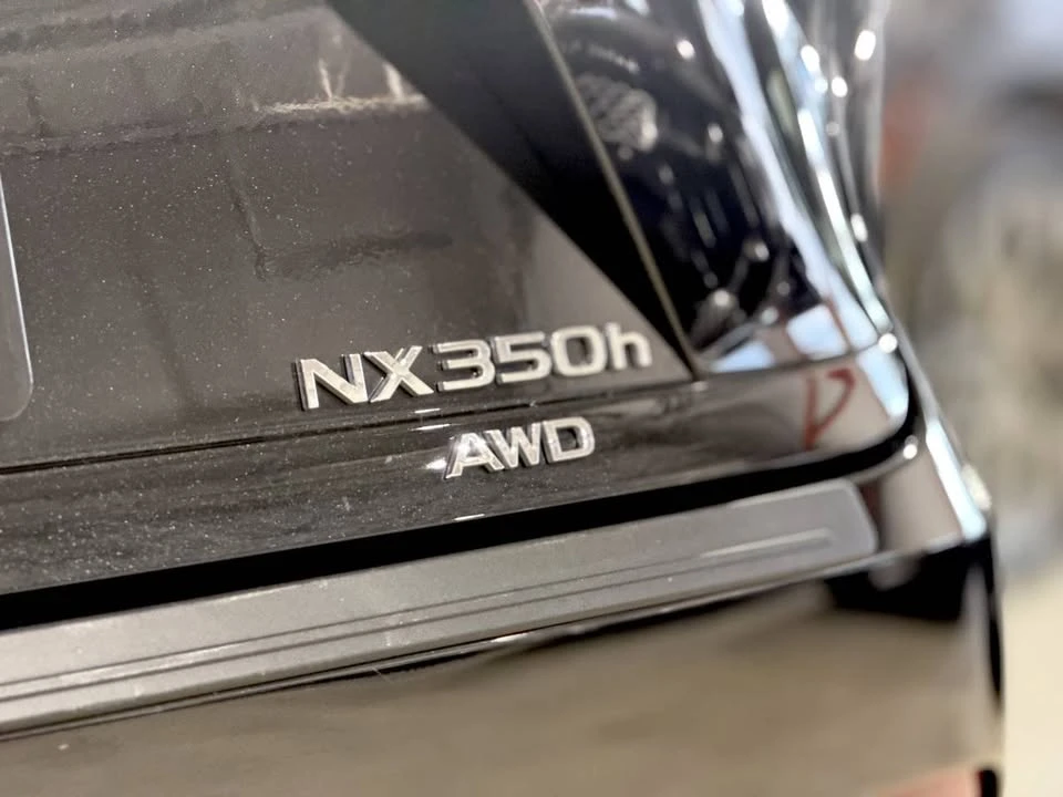 2023 Lexus NX 2nd Gen - Image 7 of 20