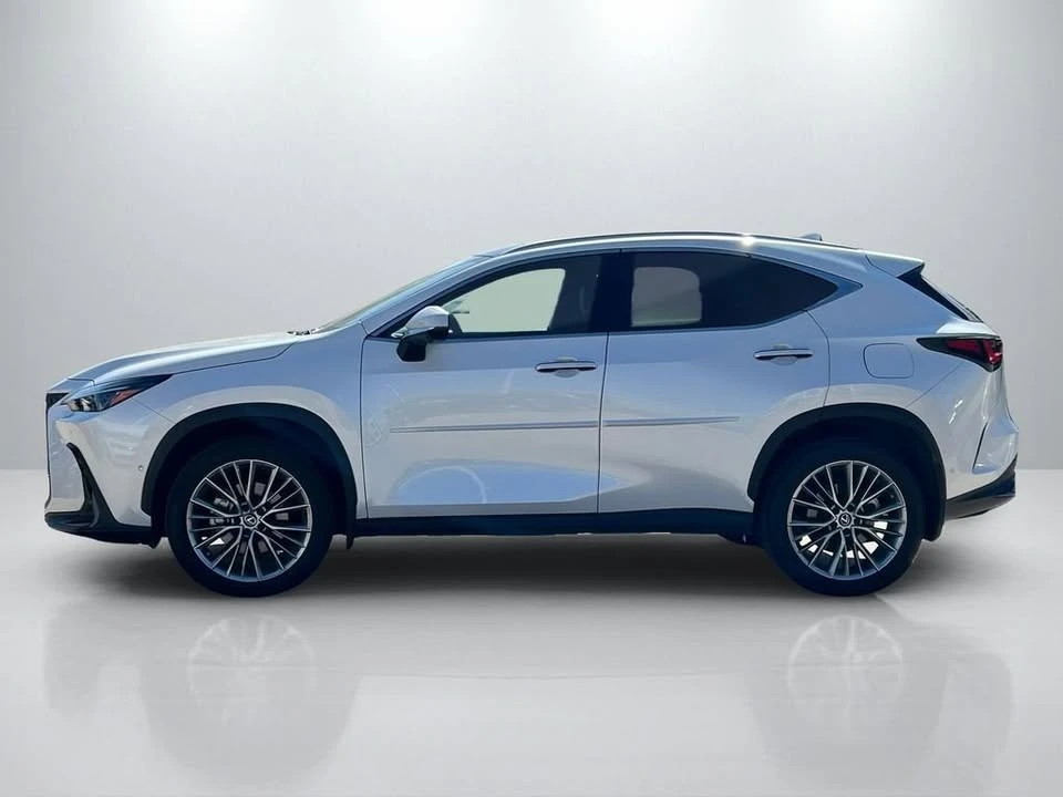 2023 Lexus NX 2nd Gen - Image 7 of 20