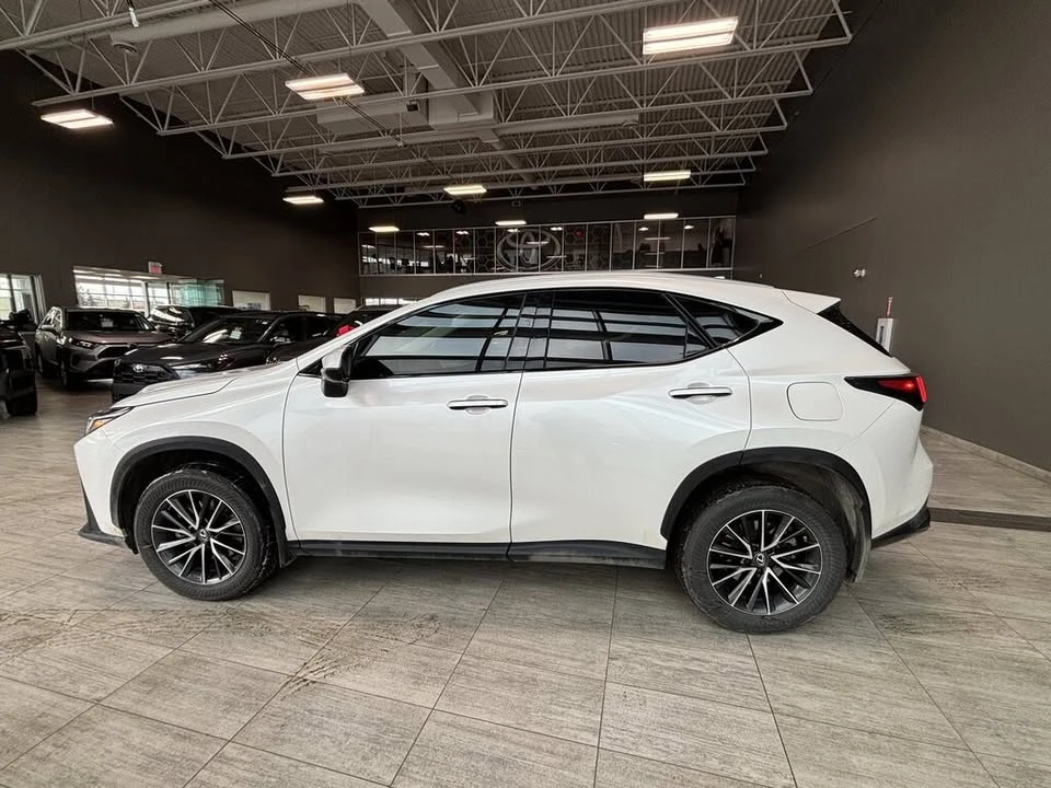 2023 Lexus NX 2nd Gen - Image 5 of 10