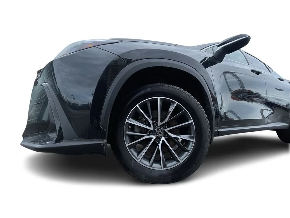 2023 Lexus NX 2nd Gen - Image 16 of 20
