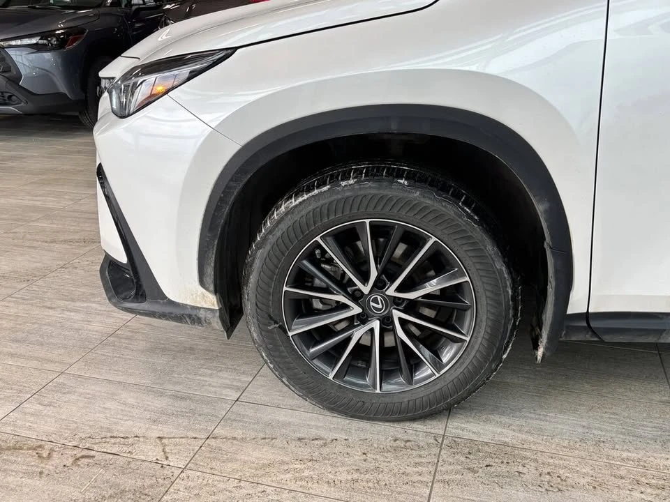 2023 Lexus NX 2nd Gen - Image 4 of 13
