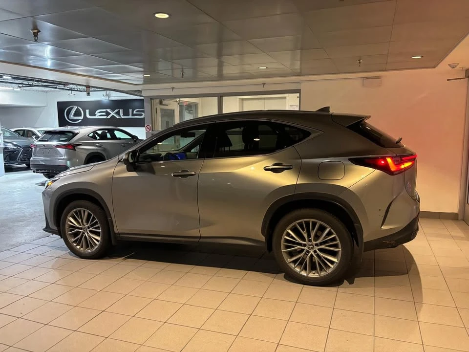 2023 Lexus NX 2nd Gen - Image 4 of 8