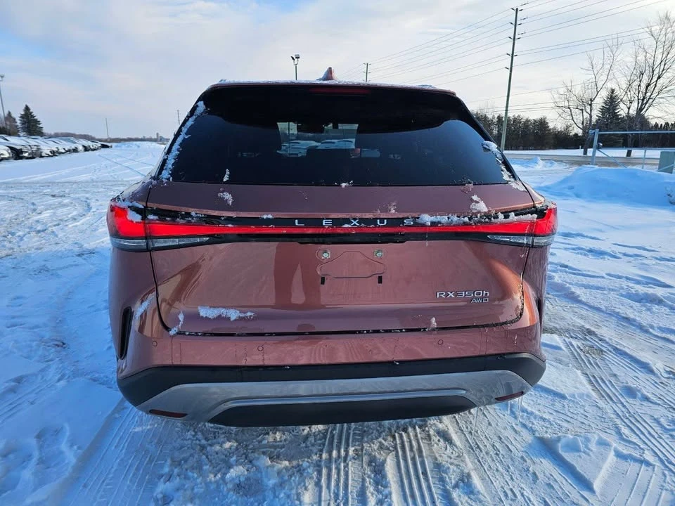 2023 Lexus RX 5th Gen - Image 6 of 20