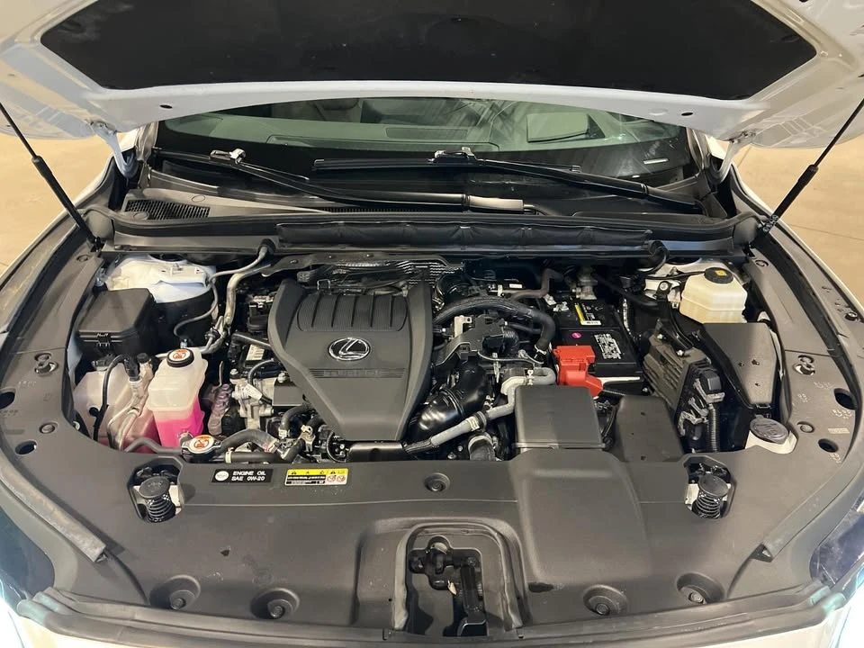 2023 Lexus RX 5th Gen - Image 19 of 19