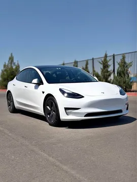 2023 Tesla Model 3 Sedan 4D