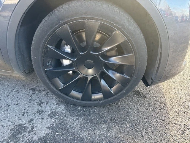 2023 Tesla Model Y - Image 10 of 11
