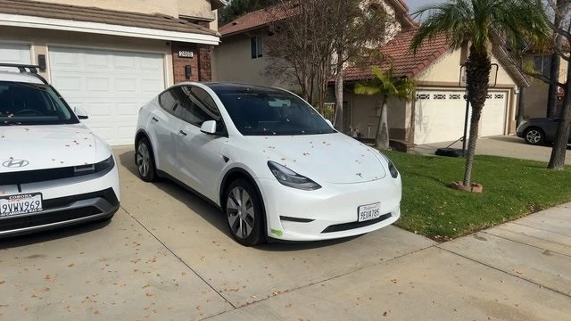 2023 Tesla Model Y - Image 3 of 11