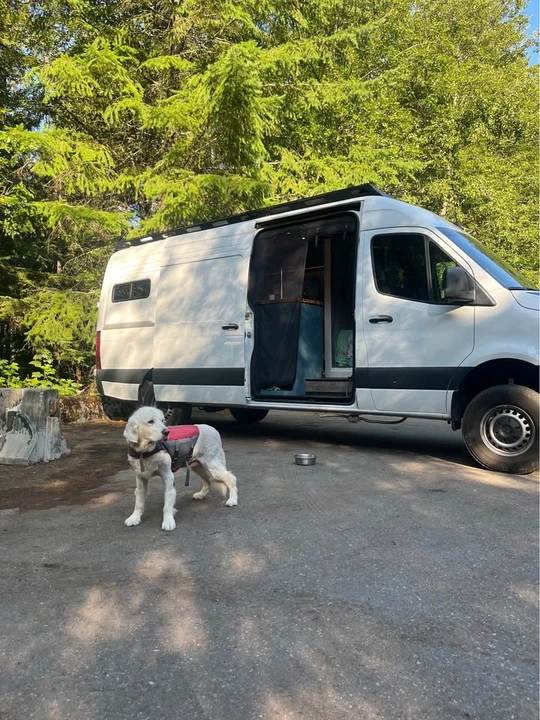 2024 Mercedes-Benz VS30 Sprinter - Image 20 of 20