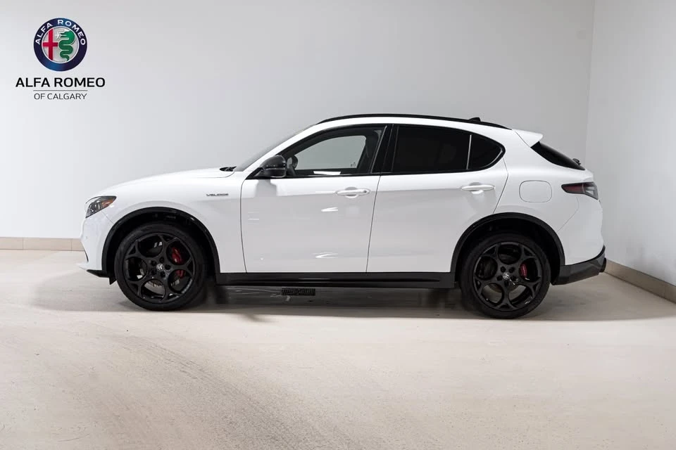 2024 Alfa Romeo Stelvio - Image 8 of 10
