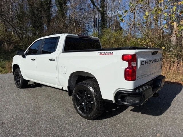 2024 Chevrolet Silverado 4th Gen - Image 10 of 12