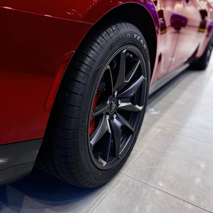 2024 Dodge Charger 8th Gen - Image 4 of 4