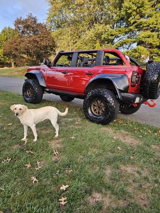 2024 Ford Bronco Raptor 6th Gen - Image 3 of 13