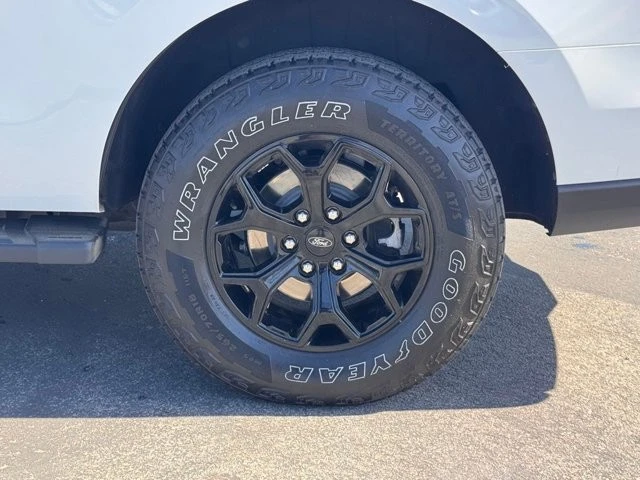 2024 Ford Expedition 4th Gen - Image 15 of 21