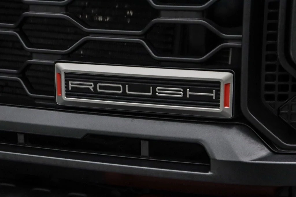 2024 Ford Super Duty 5th Gen - Image 15 of 21