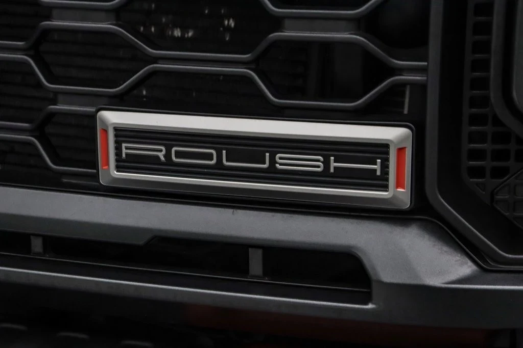 2024 Ford Super Duty 5th Gen - Image 15 of 21