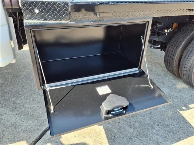 2024 Ford Super Duty 5th Gen - Image 19 of 21