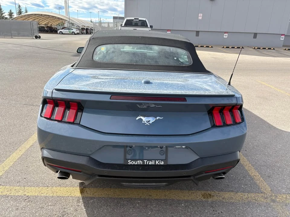 2024 Ford S650 Mustang - Image 4 of 6