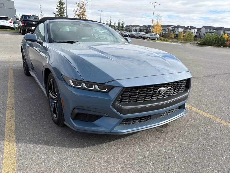 2024 Ford S650 Mustang - Image 2 of 6