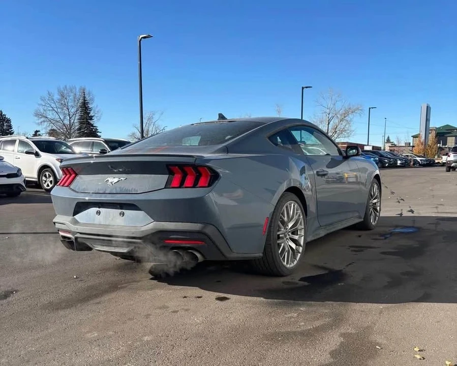 2024 Ford S650 Mustang - Image 10 of 12