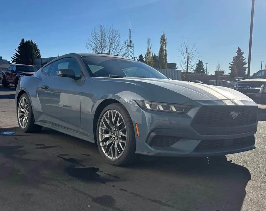 2024 Ford S650 Mustang - Image 12 of 12