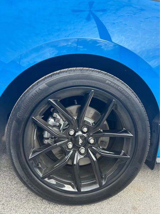 2024 Ford S650 Mustang - Image 10 of 10