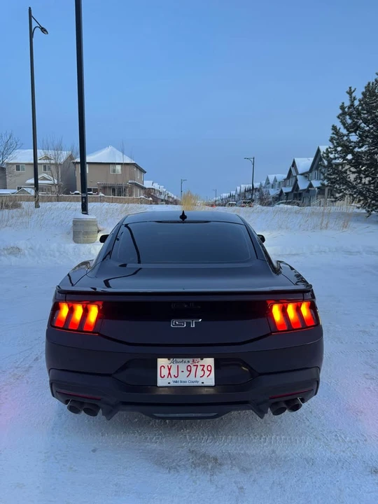 2024 Ford S650 Mustang - Image 8 of 12