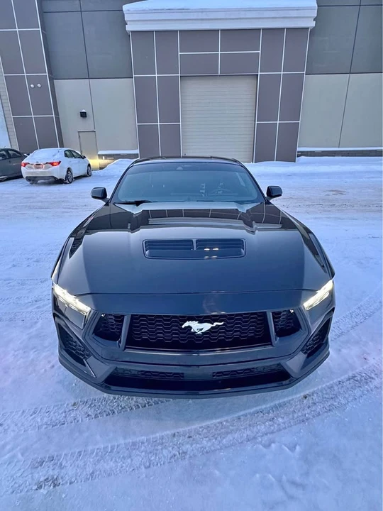 2024 Ford S650 Mustang - Image 2 of 12