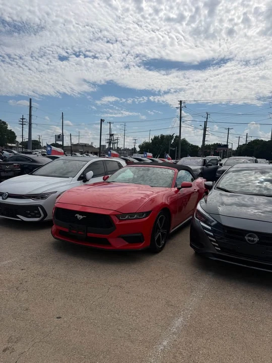 2024 Ford S650 Mustang - Image 10 of 10