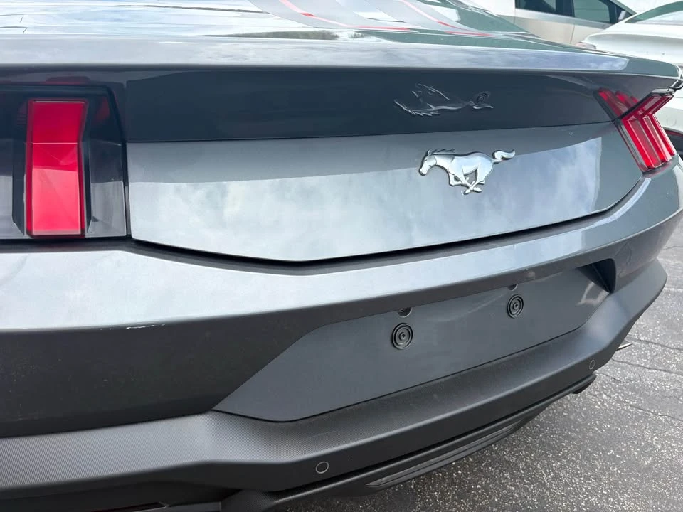 2024 Ford S650 Mustang - Image 2 of 8