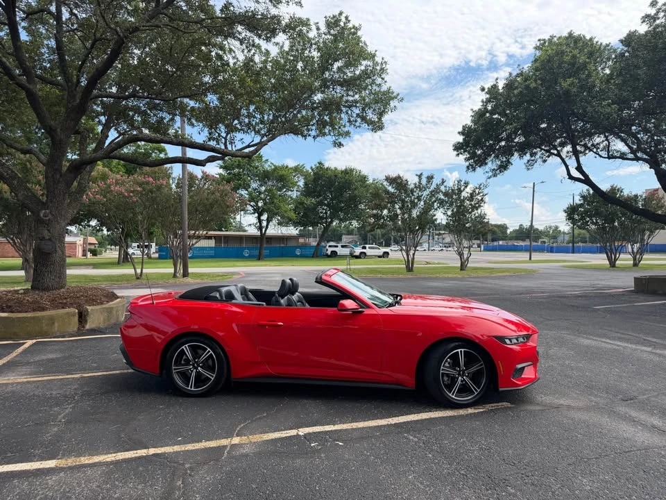 2024 Ford S650 Mustang - Image 3 of 10
