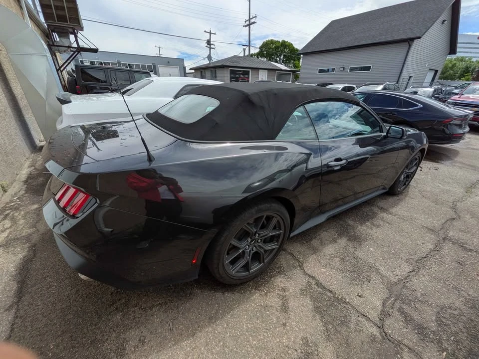 2024 Ford S650 Mustang - Image 3 of 9