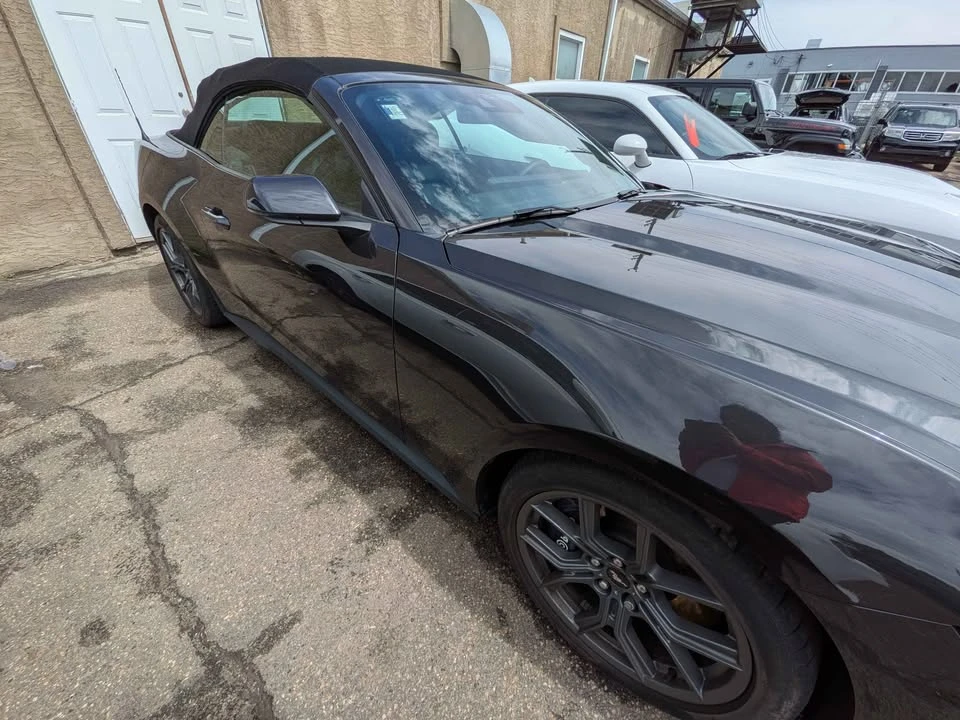 2024 Ford S650 Mustang - Image 6 of 9