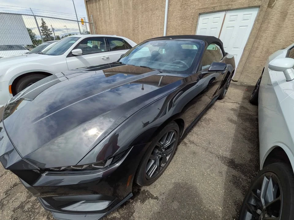 2024 Ford S650 Mustang - Image 5 of 9