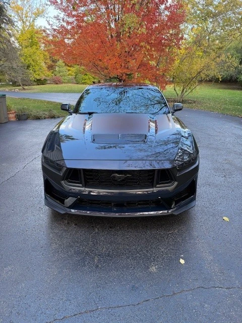 2024 Ford S650 Mustang - Image 2 of 11