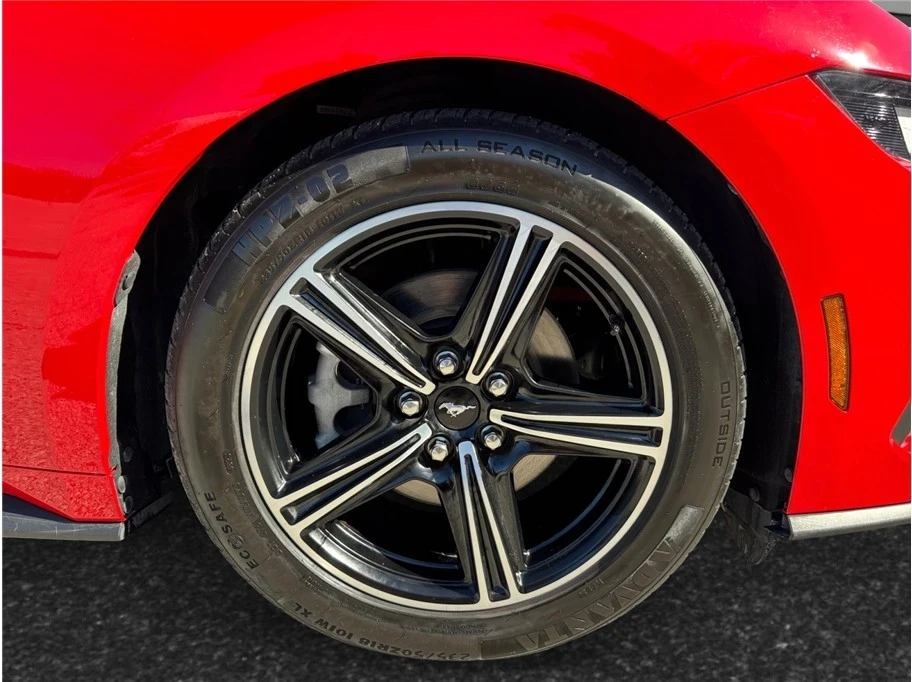 2024 Ford S650 Mustang - Image 13 of 21