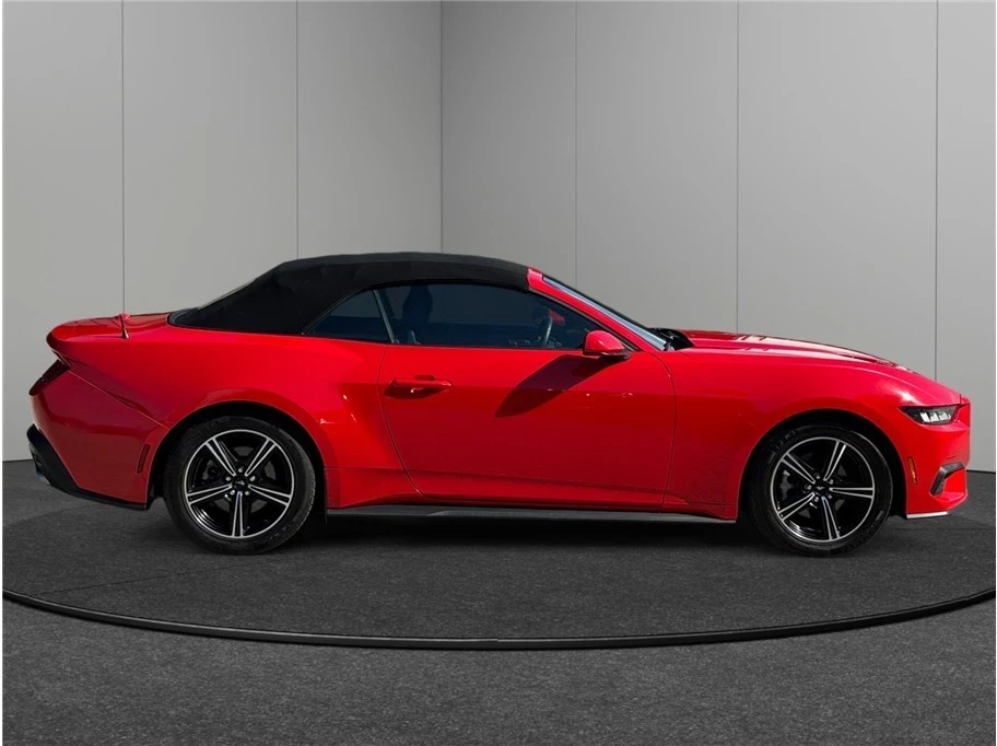 2024 Ford S650 Mustang - Image 10 of 21