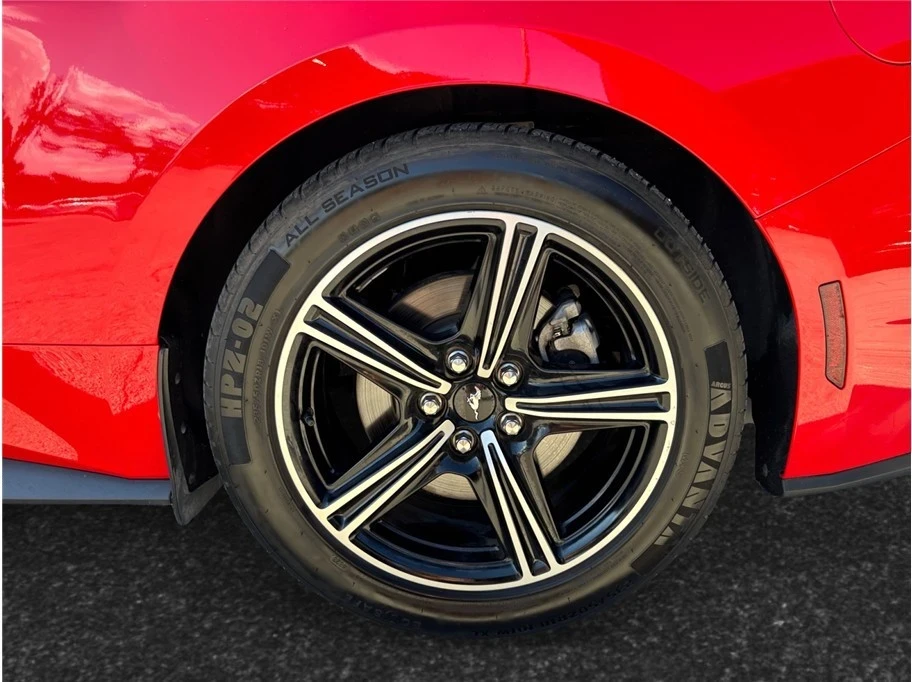 2024 Ford S650 Mustang - Image 14 of 21