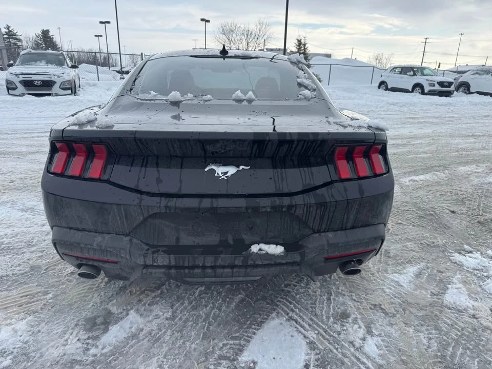 2024 Ford S650 Mustang - Image 3 of 9