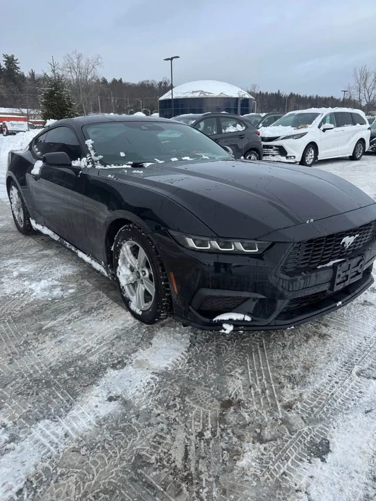 2024 Ford S650 Mustang - Image 2 of 9