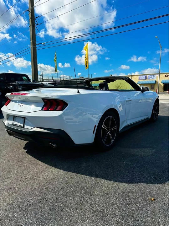 2024 Ford S650 Mustang - Image 12 of 12
