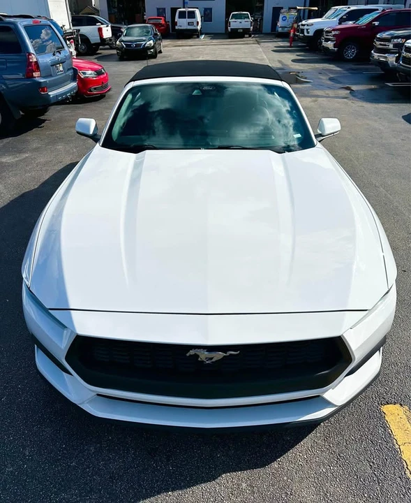 2024 Ford S650 Mustang - Image 11 of 12