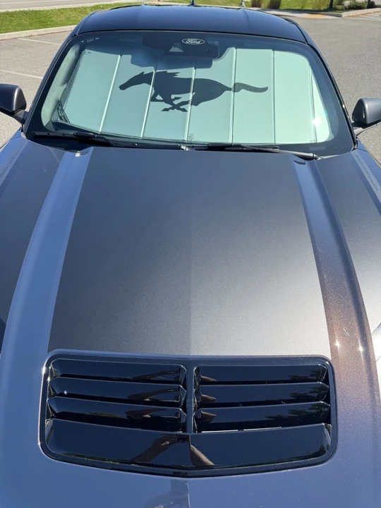 2024 Ford S650 Mustang - Image 15 of 31
