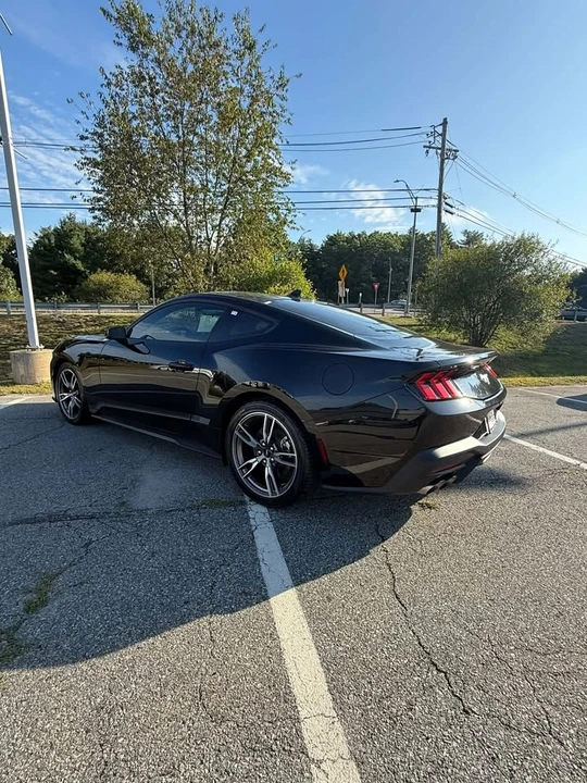 2024 Ford S650 Mustang - Image 6 of 19