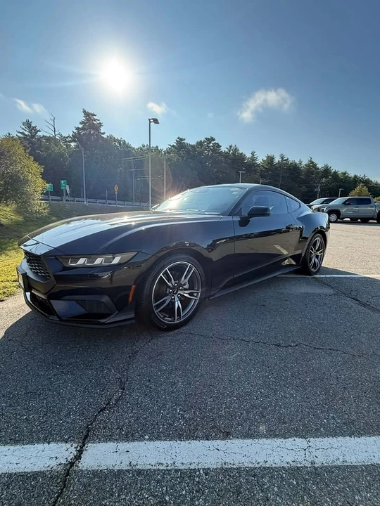 2024 Ford S650 Mustang - Image 2 of 19