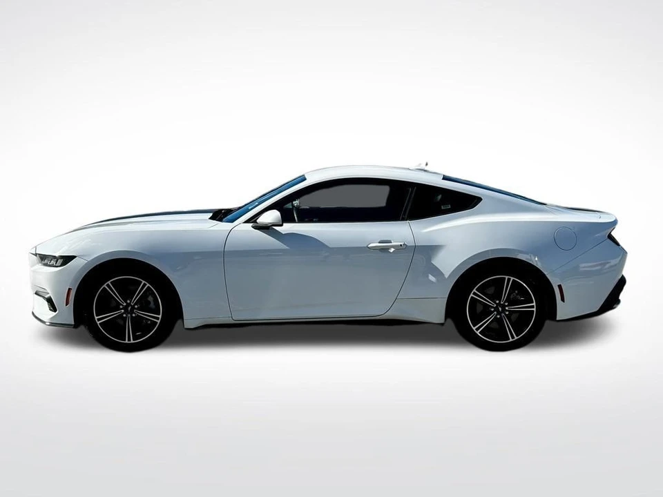 2024 Ford S650 Mustang - Image 3 of 12