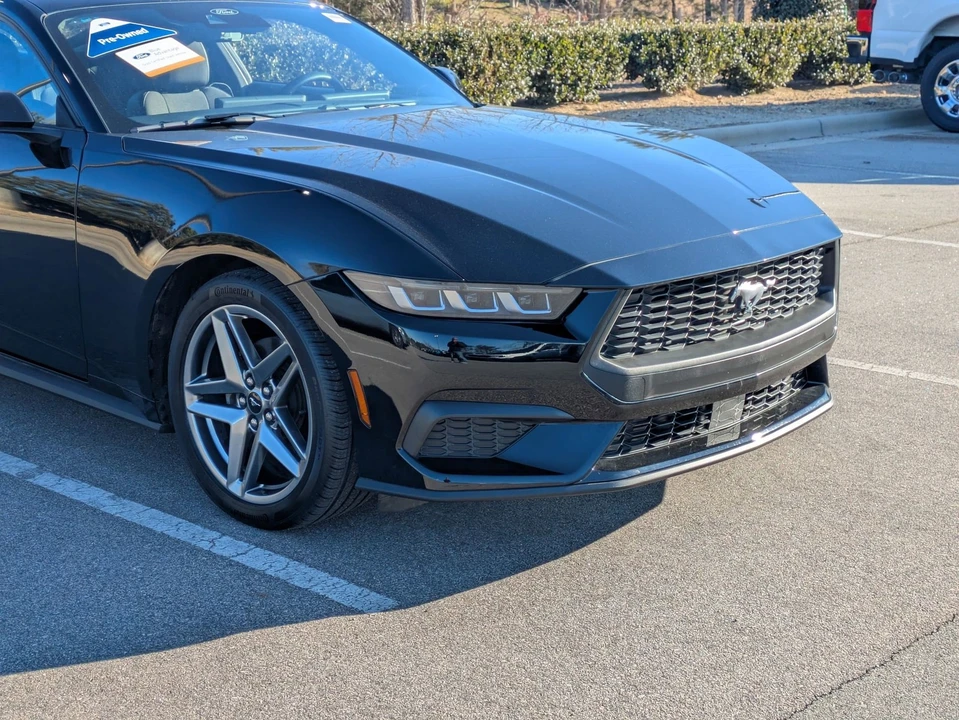 2024 Ford S650 Mustang - Image 10 of 12